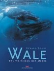 Wale - Sanfte Riesen der Meere - deutsches Filmplakat - Film-Poster Kino-Plakat deutsch