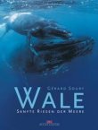 Wale - Sanfte Riesen der Meere - Gérard Soury - Delius Klasing