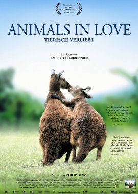 Animals in Love – Tierisch verliebt – Laurent Charbonnier – Tierdoku – Filme, Kino, DVDs Dokumentation Dokufilm – Charts & Bestenlisten