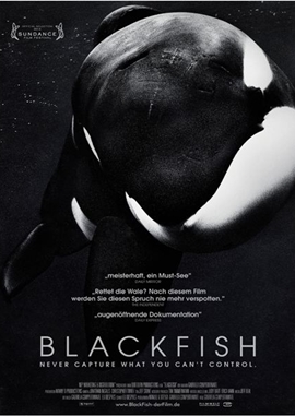 Blackfish &ndash; deutsches Filmplakat &ndash; Film-Poster Kino-Plakat deutsch