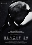 Blackfish - deutsches Filmplakat - Film-Poster Kino-Plakat deutsch