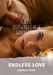 Endless Love – deutsches Filmplakat – Film-Poster Kino-Plakat deutsch