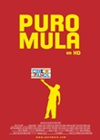 Puro Mula - deutsches Filmplakat - Film-Poster Kino-Plakat deutsch
