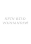 The Informers - Nach dem Roman Die Informanten von Bret Easton Ellis - Billy Bob Thornton, Kim Basinger, Winona Ryder, Mickey Rourke, Amber Heard, Jon Foster - Gregor Jordan - Bret Easton Ellis, Marco Weber