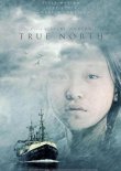 True North – deutsches Filmplakat – Film-Poster Kino-Plakat deutsch