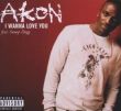 I Wanna Love You – AKON feat. Snoop Dogg – Konvicted