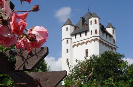 Kurfürstliche Burg Eltville Eltville am Rhein Burg_Schloss Deutschland Ausflugsziele Freizeit Urlaub Reisen