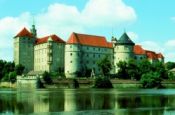 Schloss Hartenfels Torgau Burg_Schloss Deutschland Ausflugsziele Freizeit Urlaub Reisen
