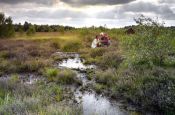 Bourtanger Moor-Bargerveen Meppen Naturpark_Geopark Deutschland Ausflugsziele Freizeit Urlaub Reisen