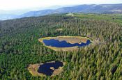 Hochmoorgebiet Kaltenbronn Gernsbach Naturpark_Geopark Deutschland Ausflugsziele Freizeit Urlaub Reisen