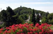 Hochtaunus Bad Homburg Naturpark_Geopark Deutschland Ausflugsziele Freizeit Urlaub Reisen