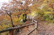 Kellerwald-Edersee Bad Wildungen Naturpark_Geopark Deutschland Ausflugsziele Freizeit Urlaub Reisen