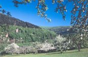 Neckartal-Odenwald Eberbach Naturpark_Geopark Deutschland Ausflugsziele Freizeit Urlaub Reisen