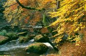 Nördlicher Oberpfälzer Wald Weiden Naturpark_Geopark Deutschland Ausflugsziele Freizeit Urlaub Reisen