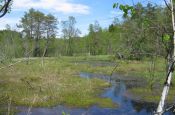 Oberpfälzer Wald Neunburg vorm Wald Naturpark_Geopark Deutschland Ausflugsziele Freizeit Urlaub Reisen