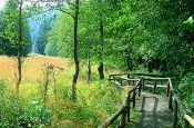 Rothaargebirge Winterberg Naturpark_Geopark Deutschland Ausflugsziele Freizeit Urlaub Reisen