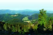 Schwarzwald Mitte/Nord Baden-Baden Naturpark_Geopark Deutschland Ausflugsziele Freizeit Urlaub Reisen