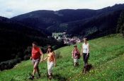 Schwarzwald Mitte/Nord Baden-Baden Naturpark_Geopark Deutschland Ausflugsziele Freizeit Urlaub Reisen