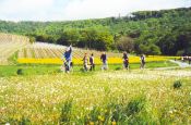 Steigerwald Würzburg Naturpark_Geopark Deutschland Ausflugsziele Freizeit Urlaub Reisen