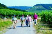 Steigerwald Würzburg Naturpark_Geopark Deutschland Ausflugsziele Freizeit Urlaub Reisen