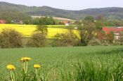 TERRA.vita - Naturpark Nördlicher Teutoburger Wald, Wiehengebirge Osnabrück Naturpark_Geopark Deutschland Ausflugsziele Freizeit Urlaub Reisen