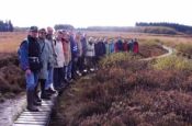 Hohes Venn-Eifel Mechernich Naturpark Deutschland Ausflugsziele Freizeit Urlaub Reisen