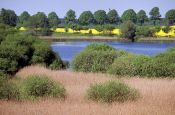 Lauenburgische Seen Ratzeburg Naturpark Deutschland Ausflugsziele Freizeit Urlaub Reisen