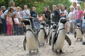 Allwetterzoo Münster Zoo_Tierpark Deutschland Ausflugsziele Freizeit Urlaub Reisen